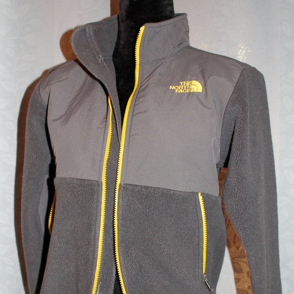 The North Face Other - North face Denali jacket coat